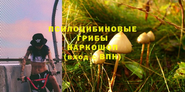 стафф Инта