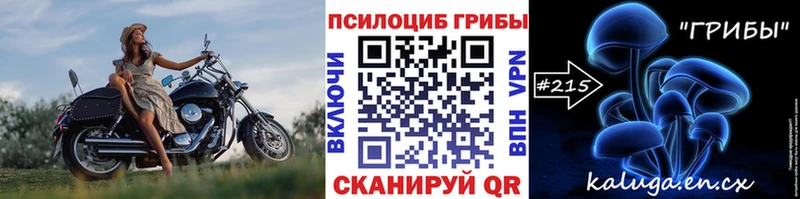 Галлюциногенные грибы GOLDEN TEACHER  Купить закладки  Белово 